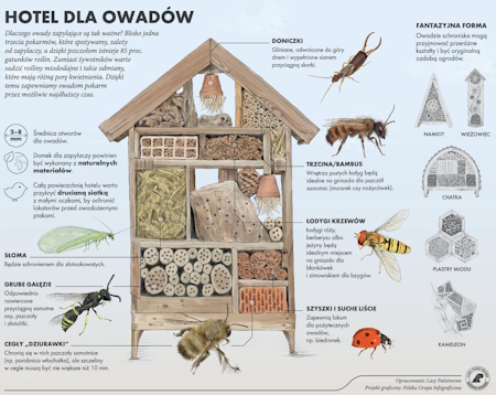 hotel dla owadow