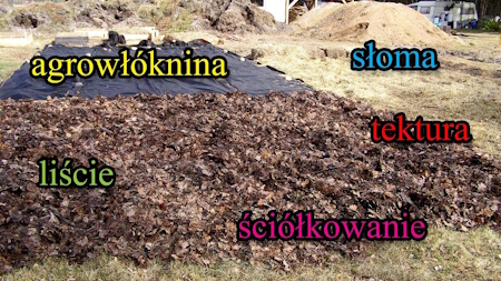 sciolkowanie gleby3a
